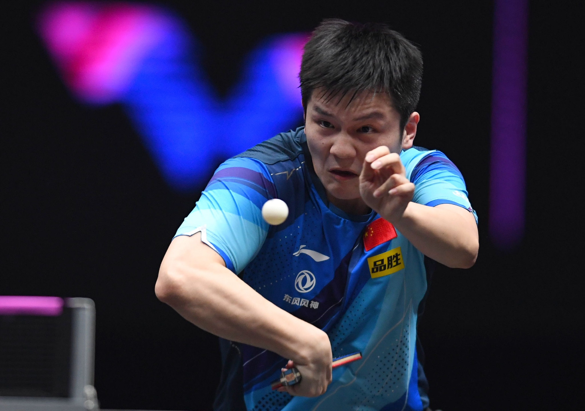 中国乒乓球队横扫波兰乒乓球队,樊振东高光表现的简单介绍 中国乒乓球队横扫波兰乒乓球队,樊振东高光表现的简单介绍