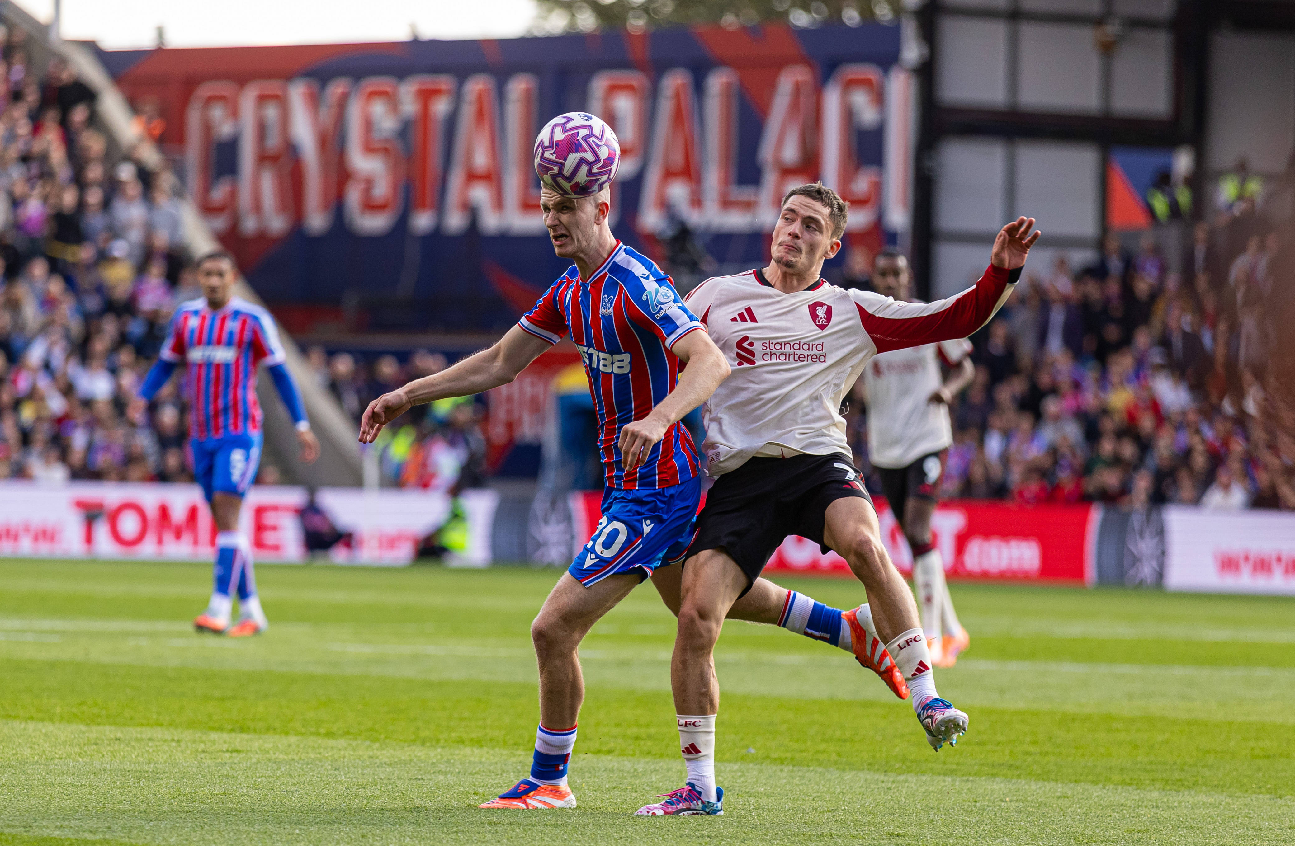 九游APP-包含水晶宫主场完胜布莱顿，重获胜利的词条